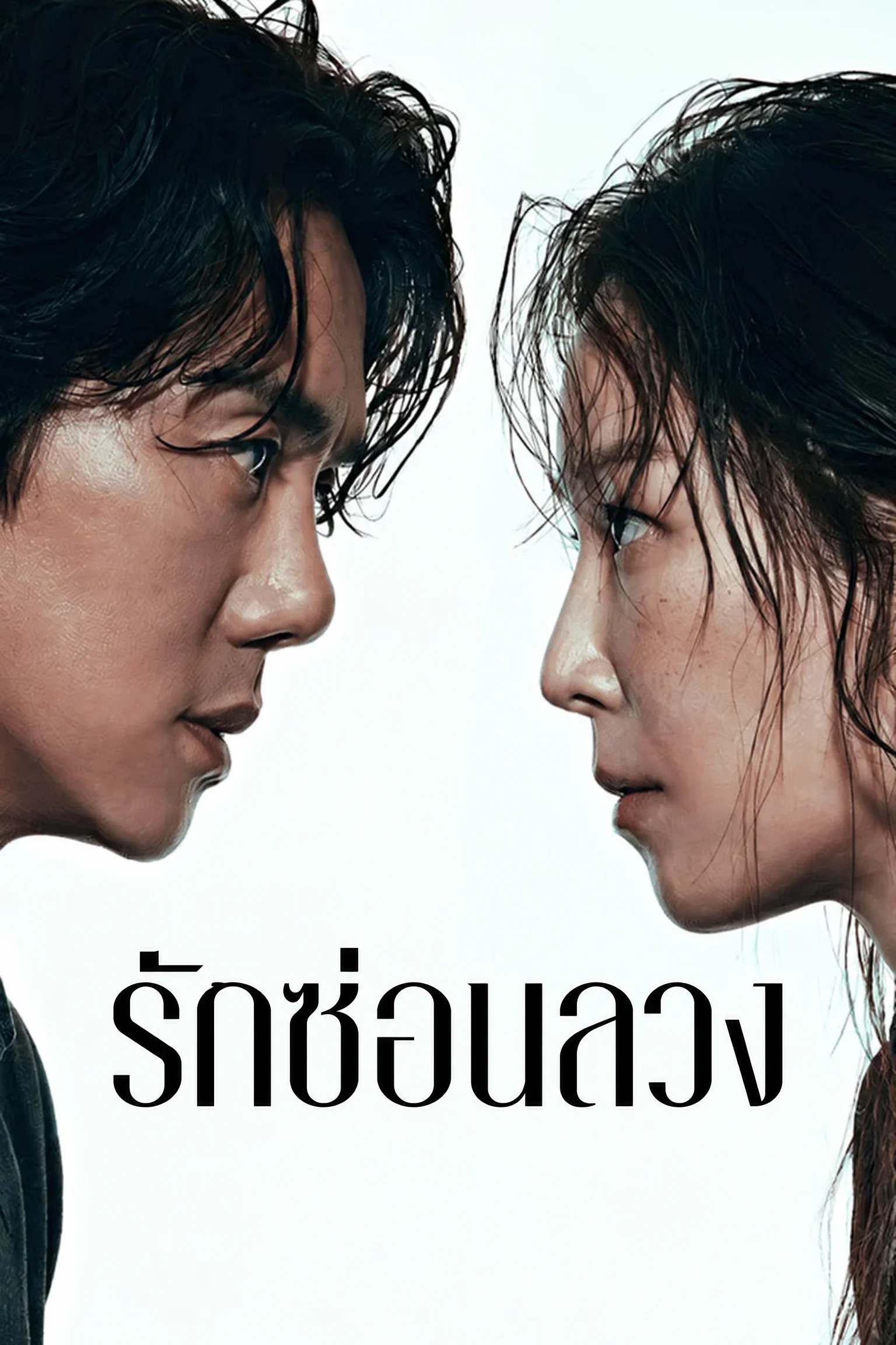 รักซ่อนลวง The Perfect Lie (2026) พากย์ไทย ซับไทย EP.1-12 Poster